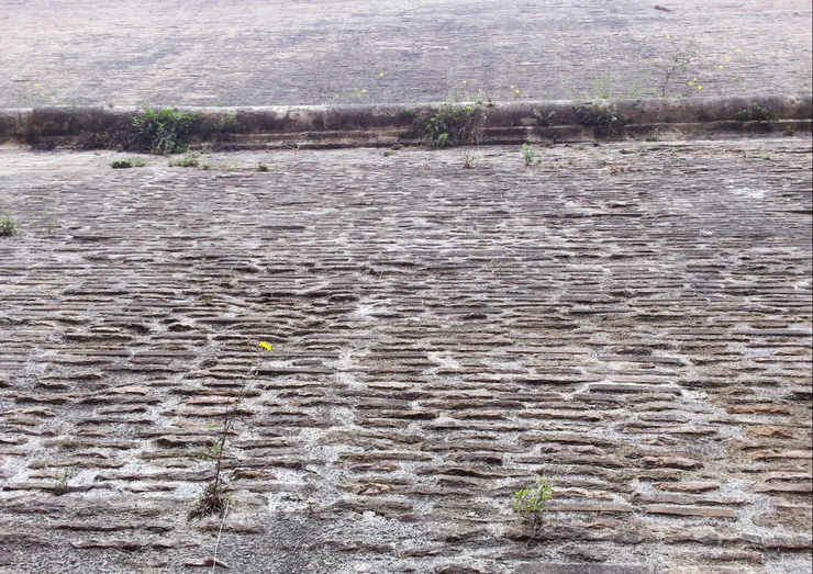 20140502_100251.png?type=w2