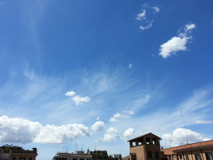 20140501_132551.png?type=w2