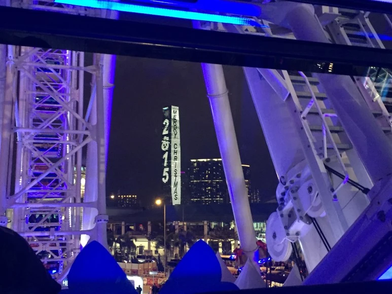 P20151225_203928485_2E60DF77-4BE5-473E-8BCE-F555381748FB.JPG?type=w773