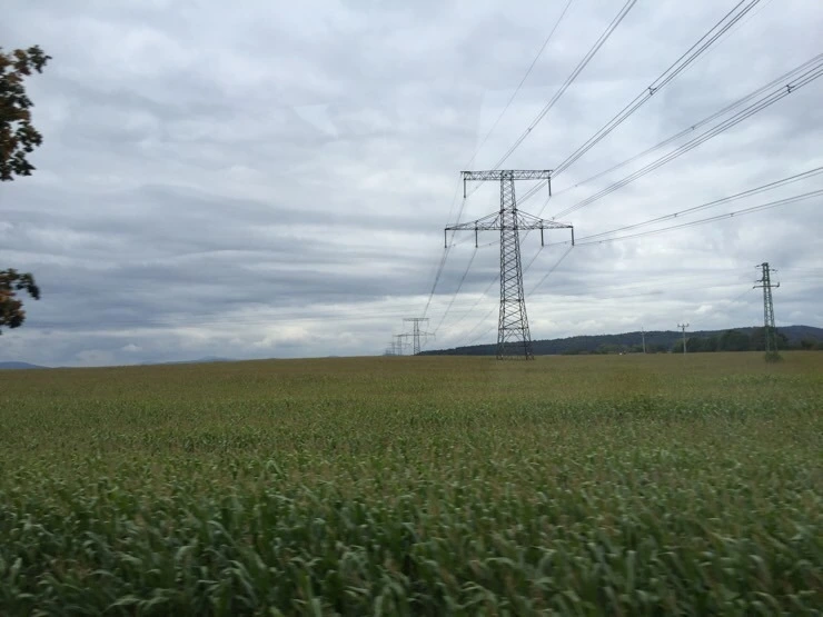 attachImage_4278126951.jpeg?type=w773