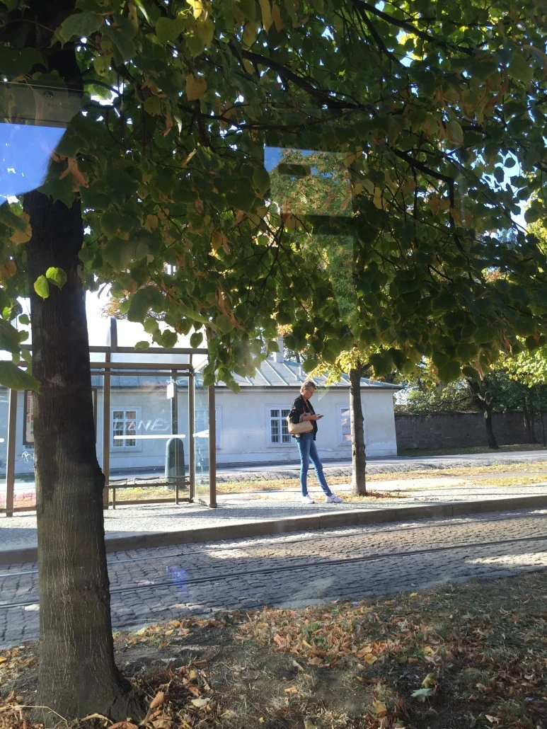 attachImage_603779938.jpeg?type=w773