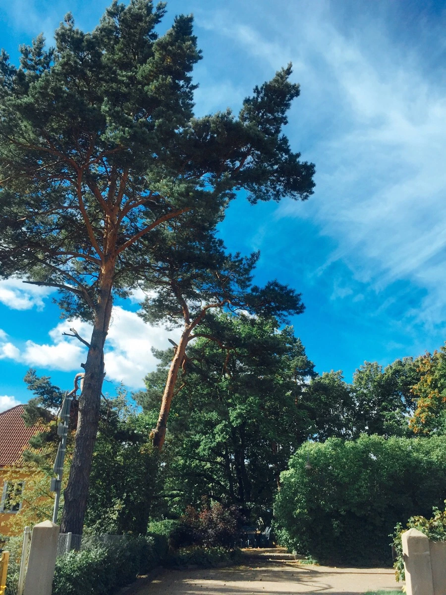 IMG_1700.jpg?type=w1