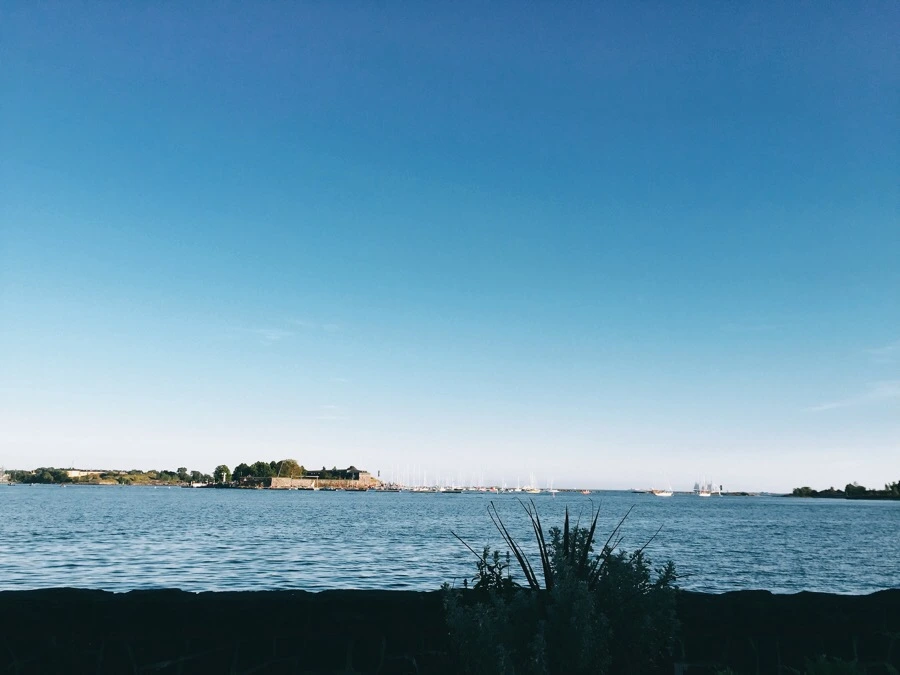 IMG_0821.jpg?type=w1