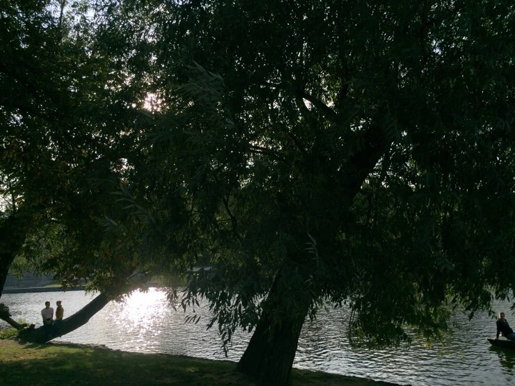 attachImage_2244105017.jpeg?type=w773