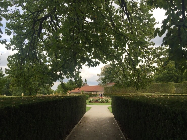 attachImage_3289148950.jpeg?type=w773