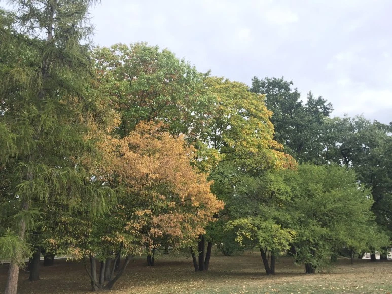 P20150930_180156398_88B6D406-8B45-4370-8F46-2BC671ECD5A9.JPG?type=w773