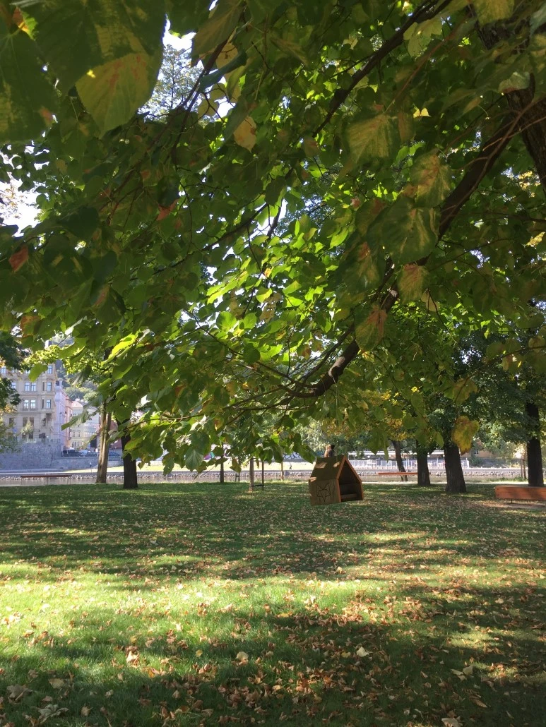 P20151001_200939481_4F0EB33C-CCAB-42C0-96A5-3224C5A07E36.JPG?type=w773