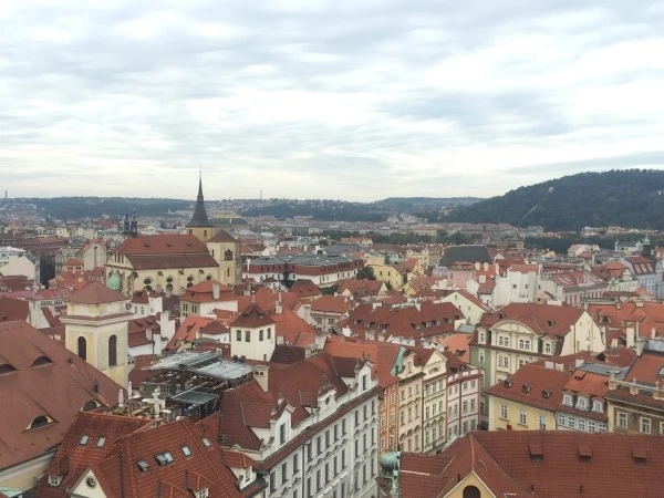 IMG_5846.JPG?type=w2