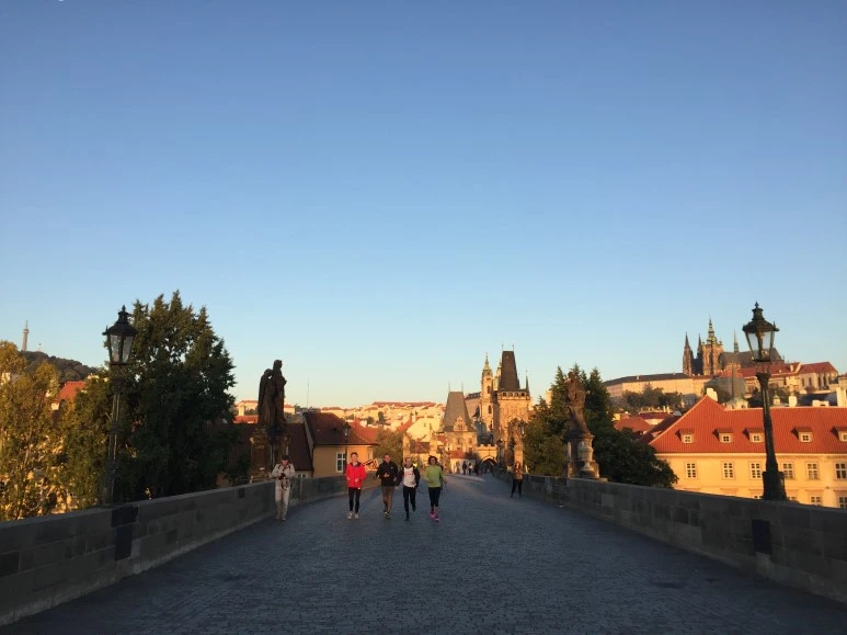 P20151001_142827443_87864C51-B037-4FBE-A0BC-A2A2720F6830.JPG?type=w773