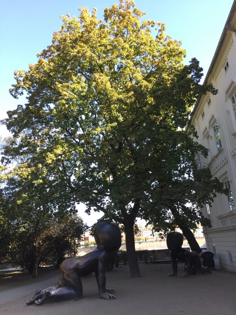 P20151001_211341452_B7FFFAF3-A74D-45E1-86A2-CD81E98AE648.JPG?type=w773