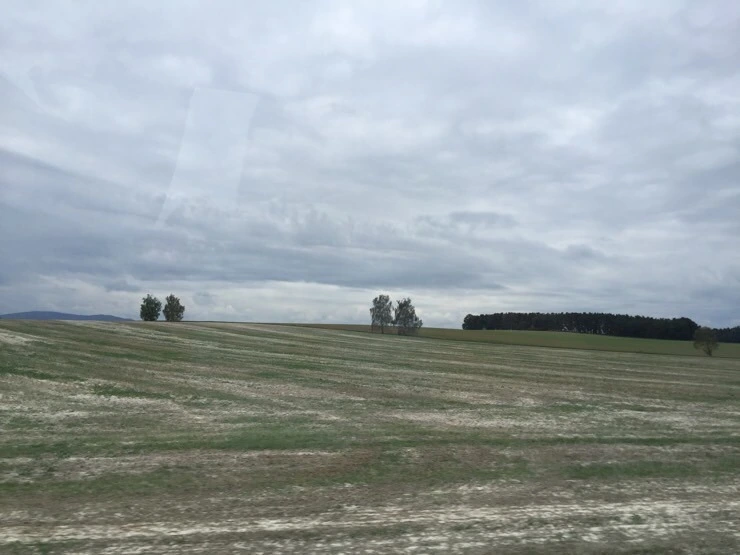 attachImage_4274671044.jpeg?type=w773