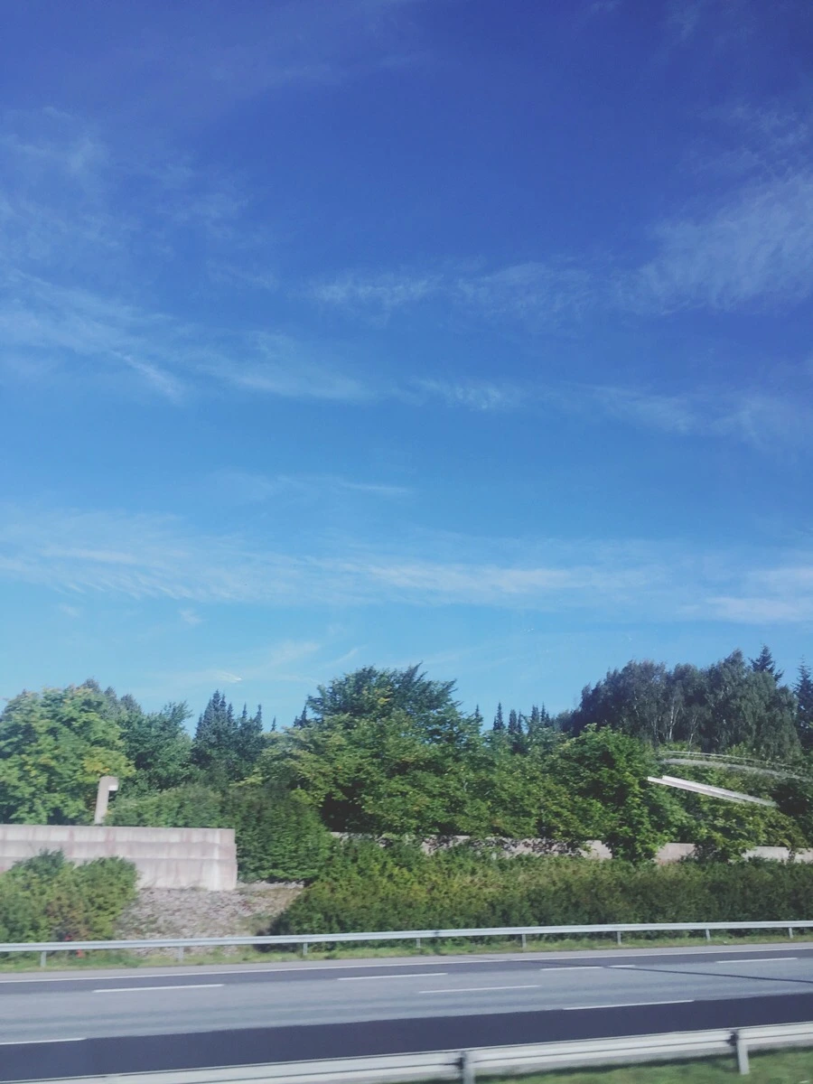 IMG_1371.jpg?type=w1