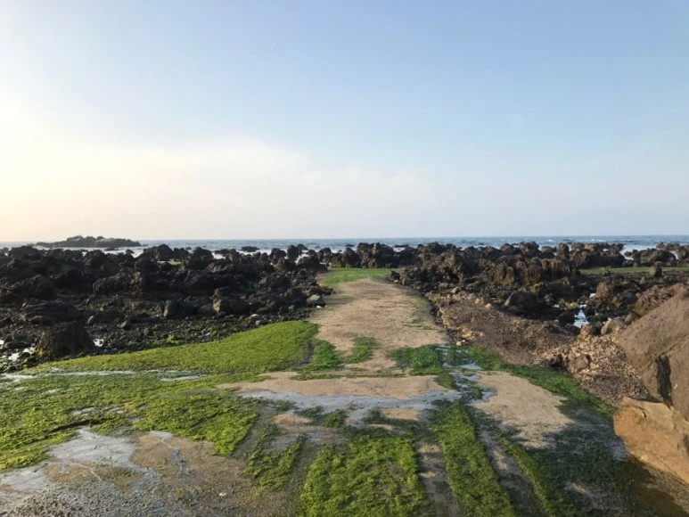 IMG_0221.jpg?type=w773