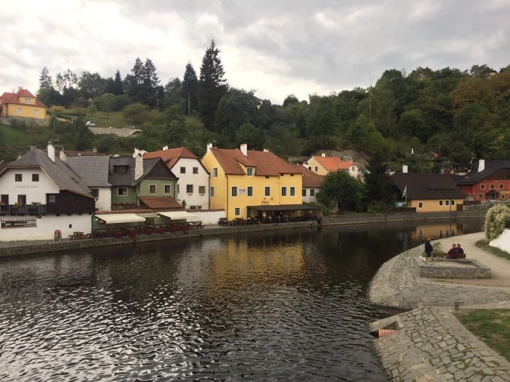 attachImage_3393050513.jpeg?type=w773