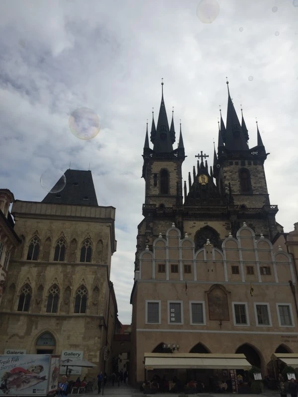 IMG_5923.JPG?type=w2