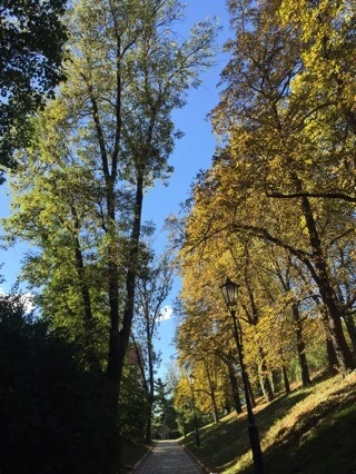 attachImage_444656809.jpeg?type=w773