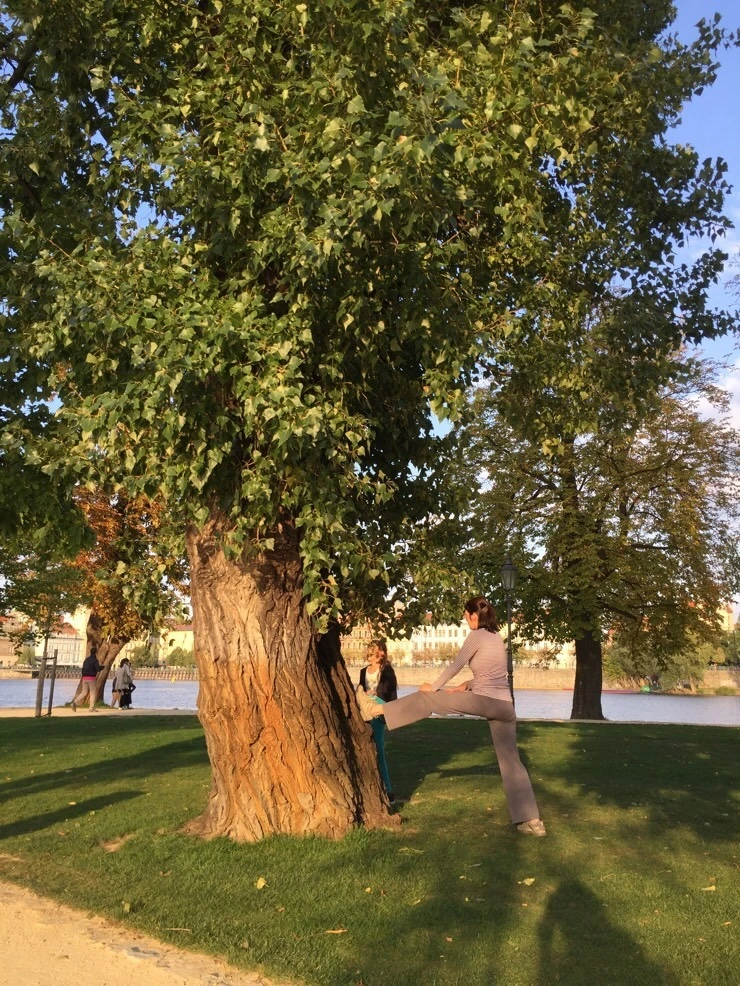 attachImage_3842812923.jpeg?type=w773