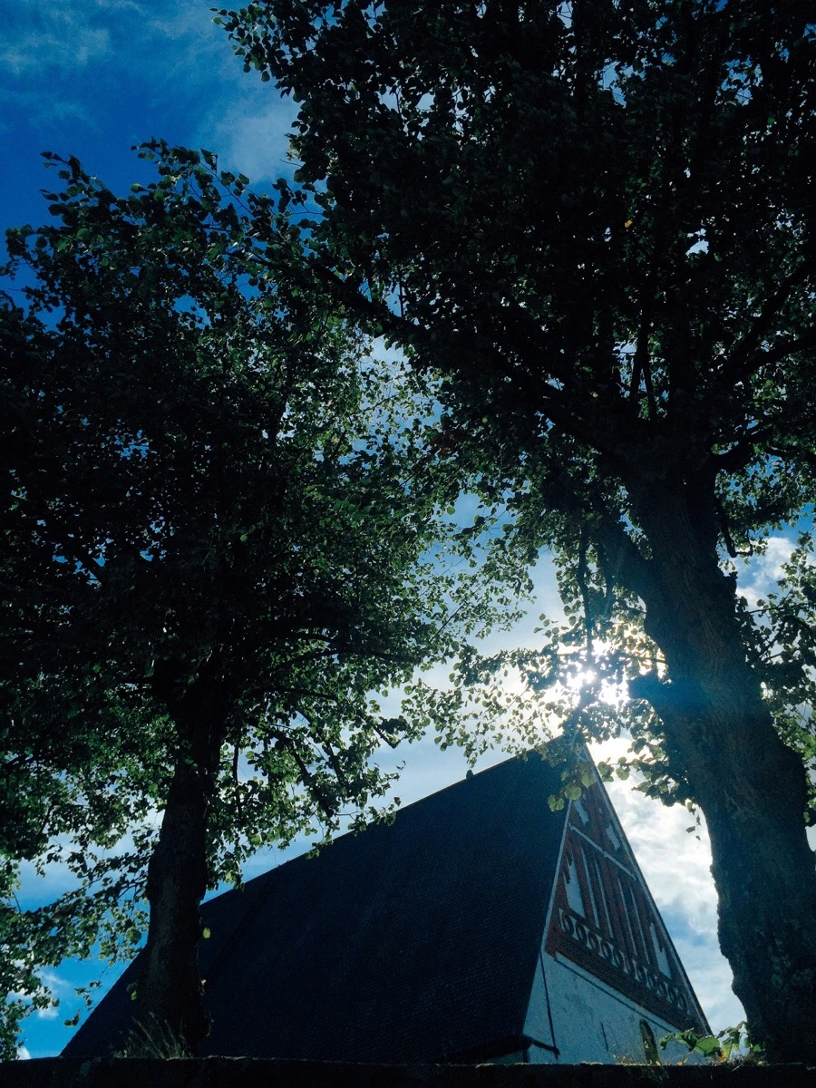 IMG_1463.jpg?type=w1