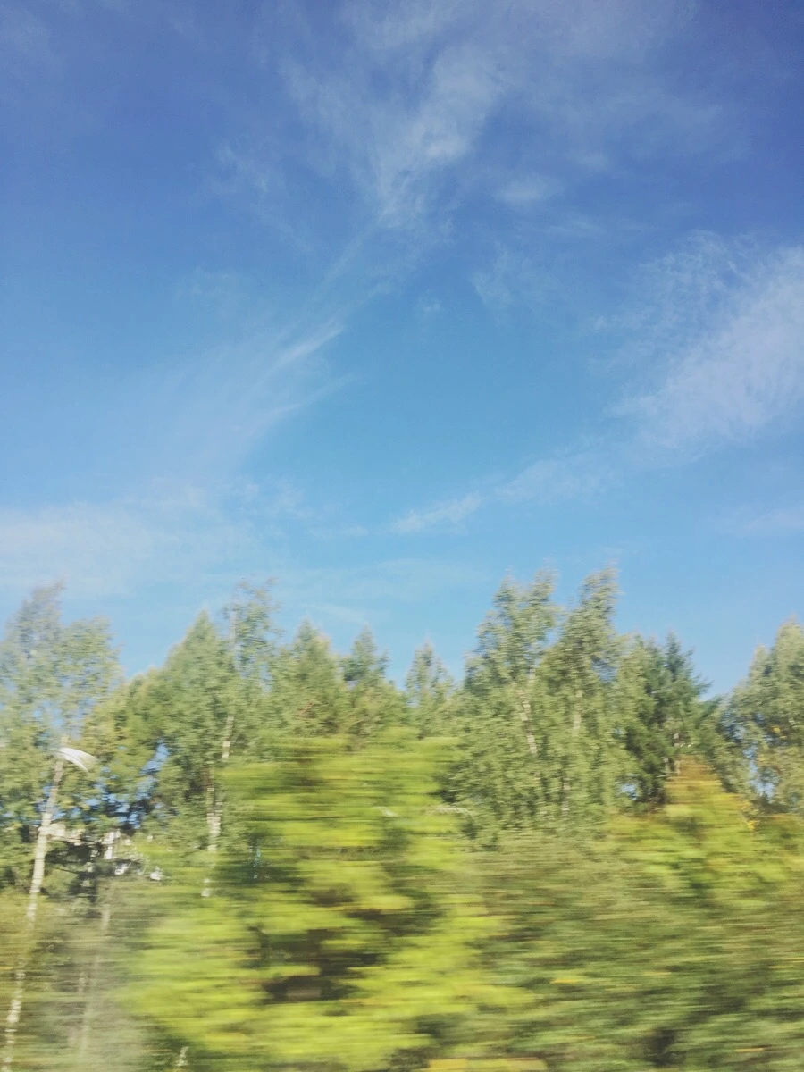 IMG_1364.jpg?type=w1