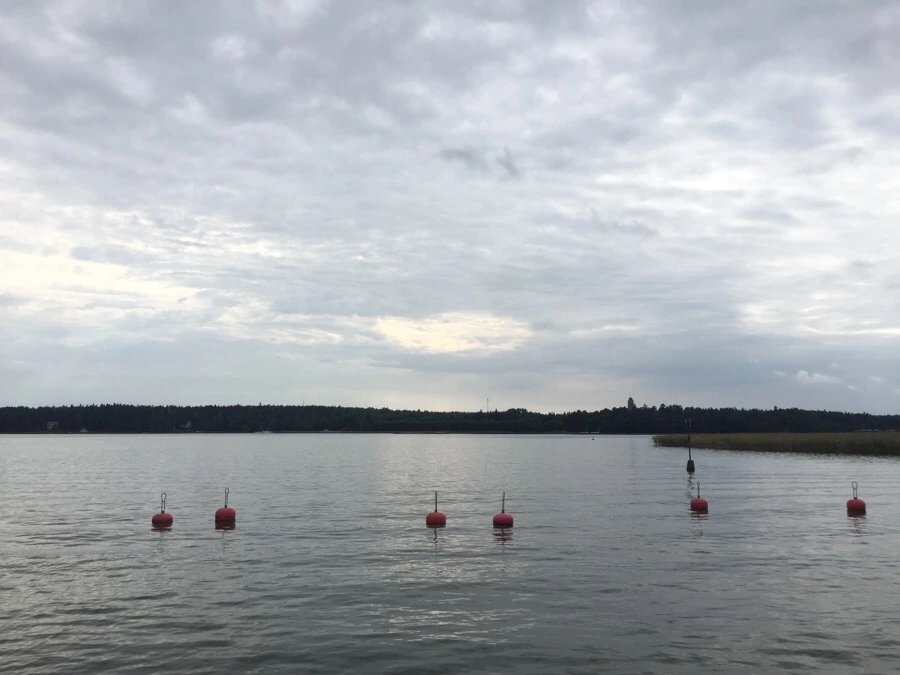 IMG_0904.jpg?type=w1