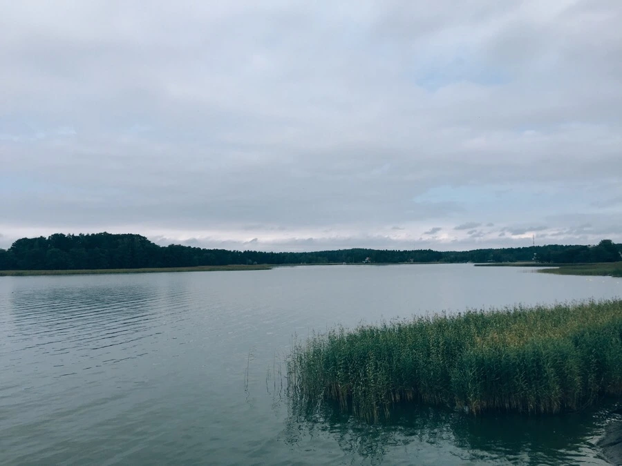 IMG_0903.jpg?type=w1