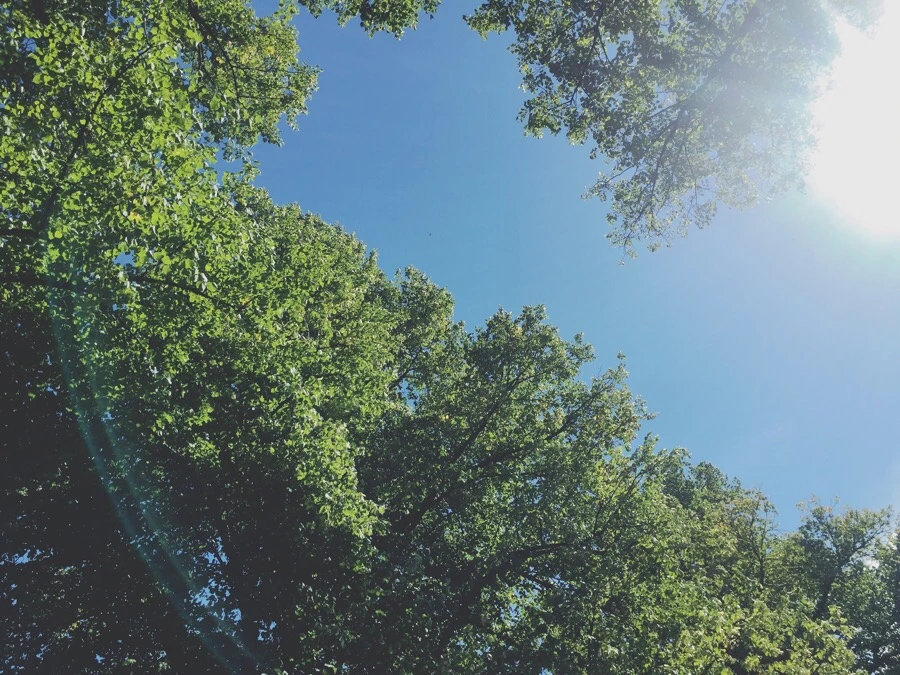 IMG_1550.jpg?type=w1