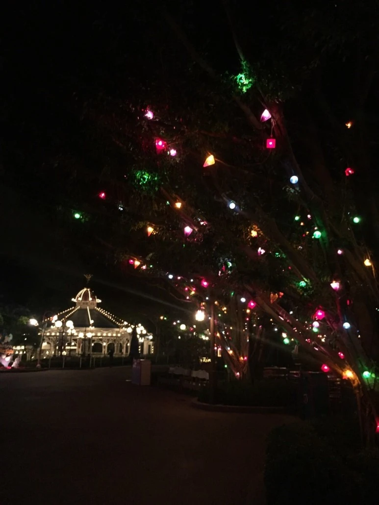 IMG_9945.jpg?type=w773