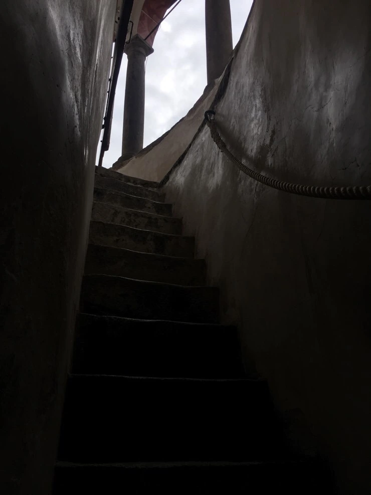 attachImage_3109007837.jpeg?type=w773