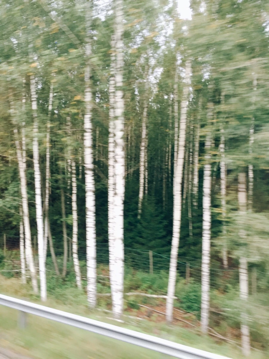 IMG_0891.jpg?type=w1