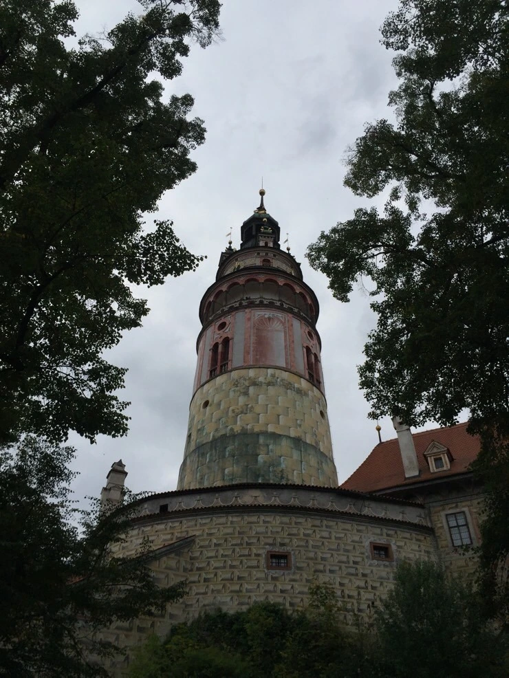 attachImage_2762726972.jpeg?type=w773