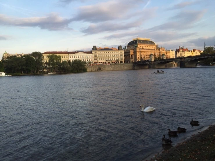 attachImage_866064577.jpeg?type=w773