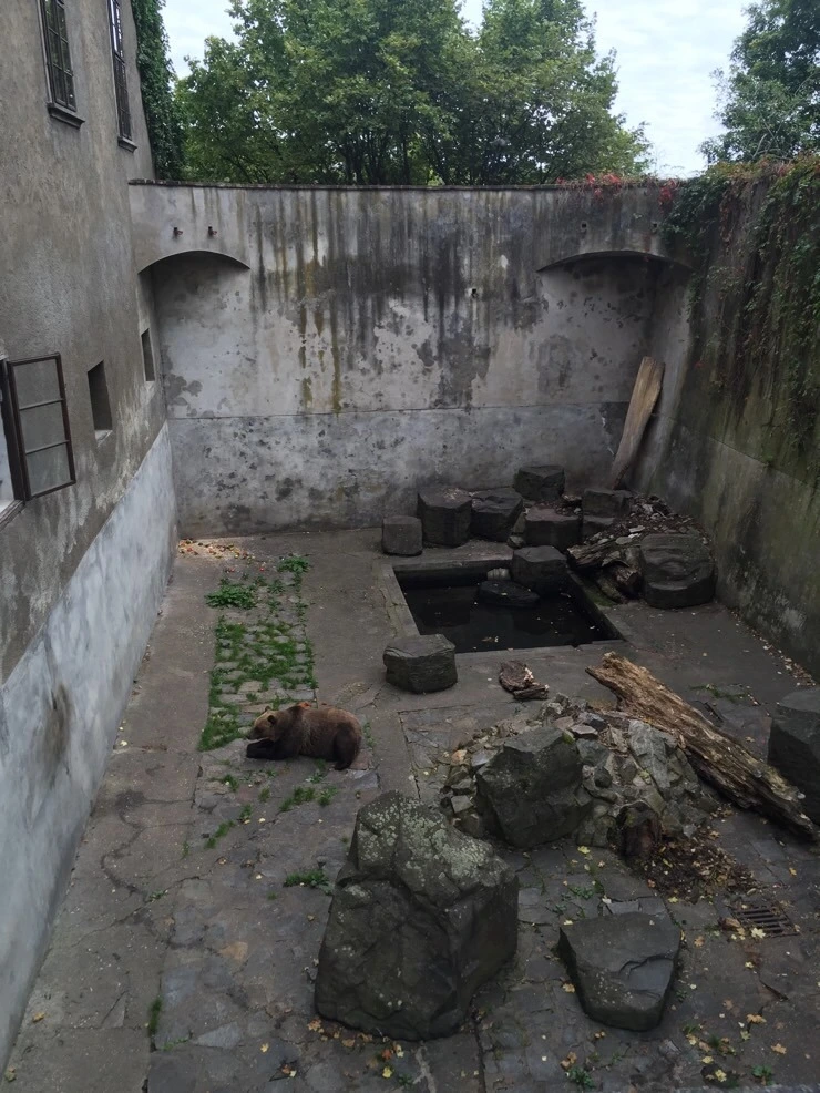 attachImage_3087569613.jpeg?type=w773