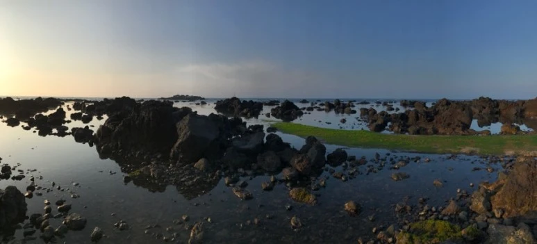 IMG_0224.jpg?type=w773