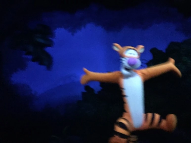 IMG_9763.jpg?type=w773