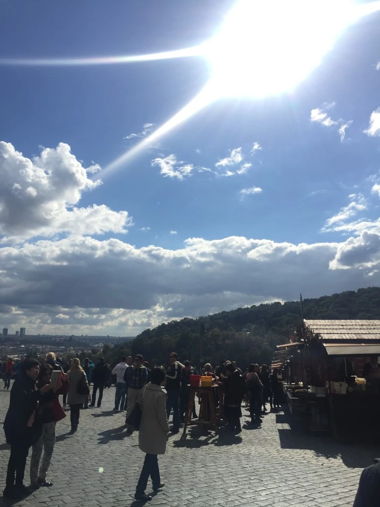 attachImage_3128322056.jpeg?type=w773