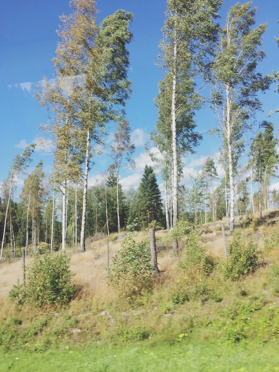 IMG_1577.jpg?type=w1