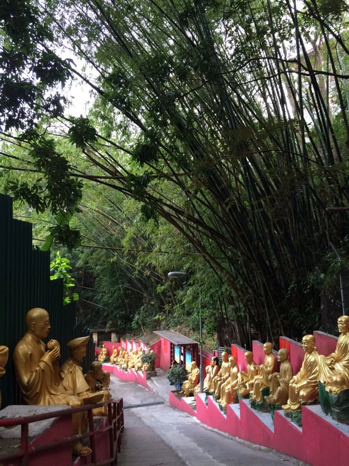 P20151228_205856000_AD537EAA-DBFA-420E-B8E2-6D41515842E0.JPG?type=w773