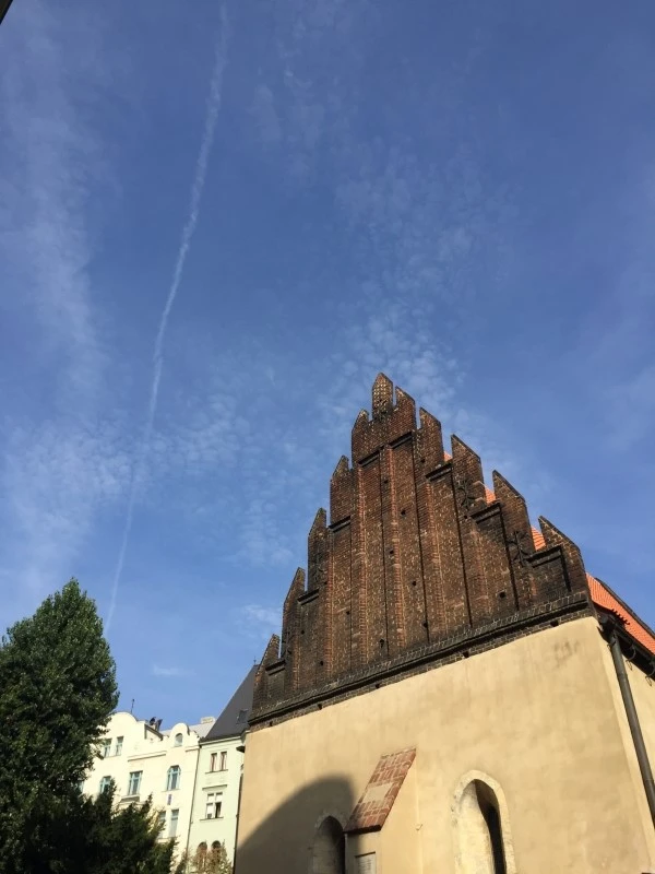 IMG_6036.JPG?type=w2