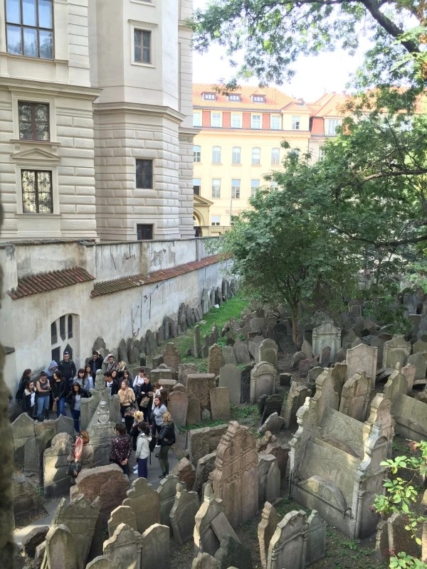 IMG_6031.JPG?type=w2