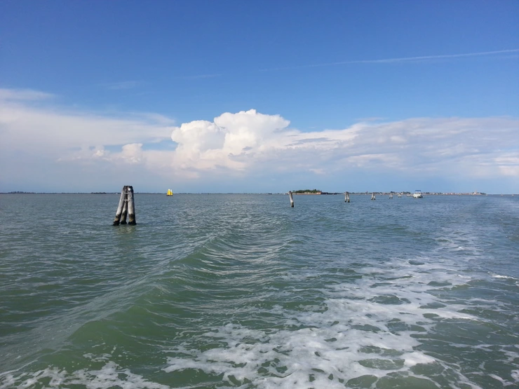 20140426_165332.png?type=w2