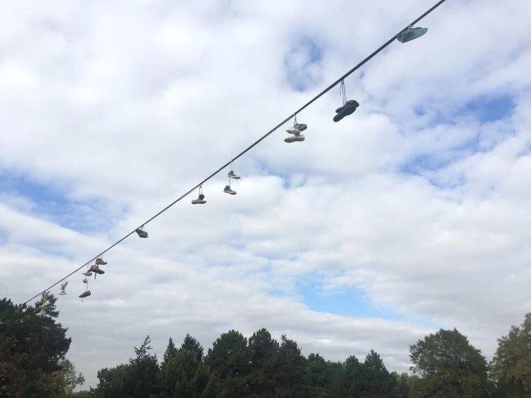 P20150930_173605943_596EA1B1-55B4-4369-A451-7131742F205F.JPG?type=w773