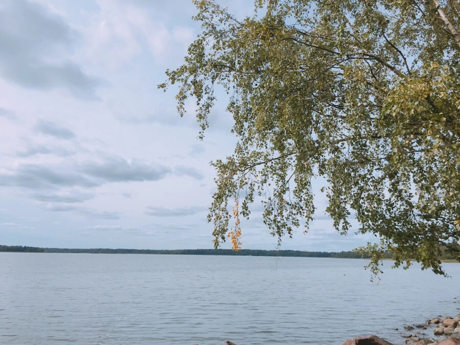 IMG_1789.jpg?type=w1