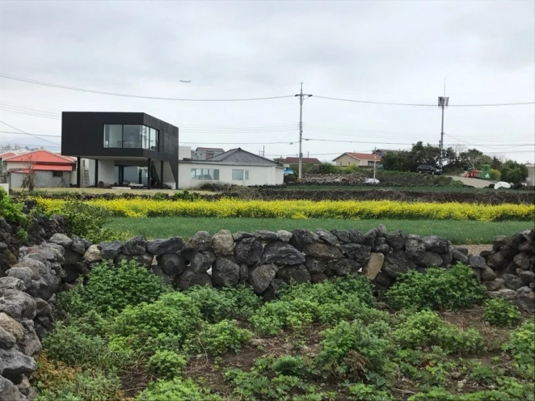 IMG_0420.jpg?type=w773