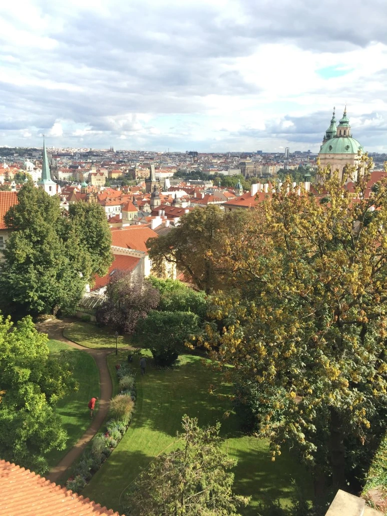 attachImage_3888733895.jpeg?type=w773