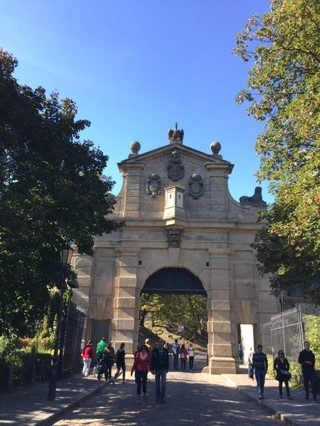 attachImage_1084530172.jpeg?type=w773