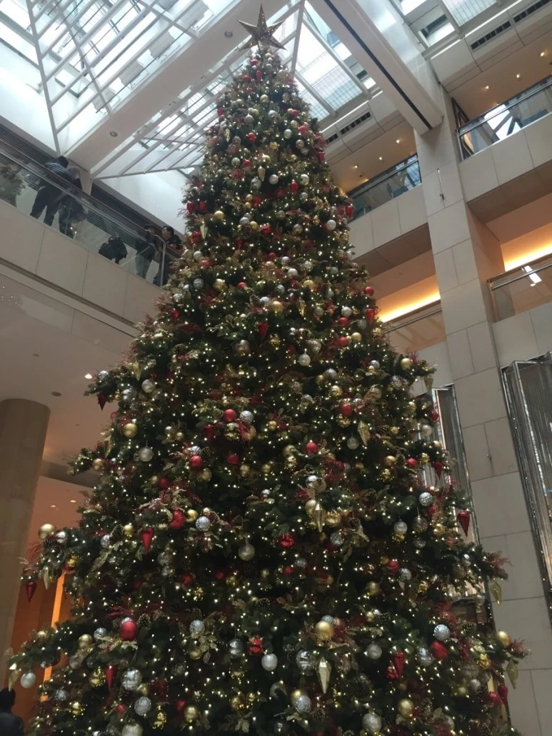 IMG_9671.jpg?type=w773