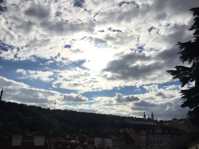 attachImage_1293075092.jpeg?type=w773