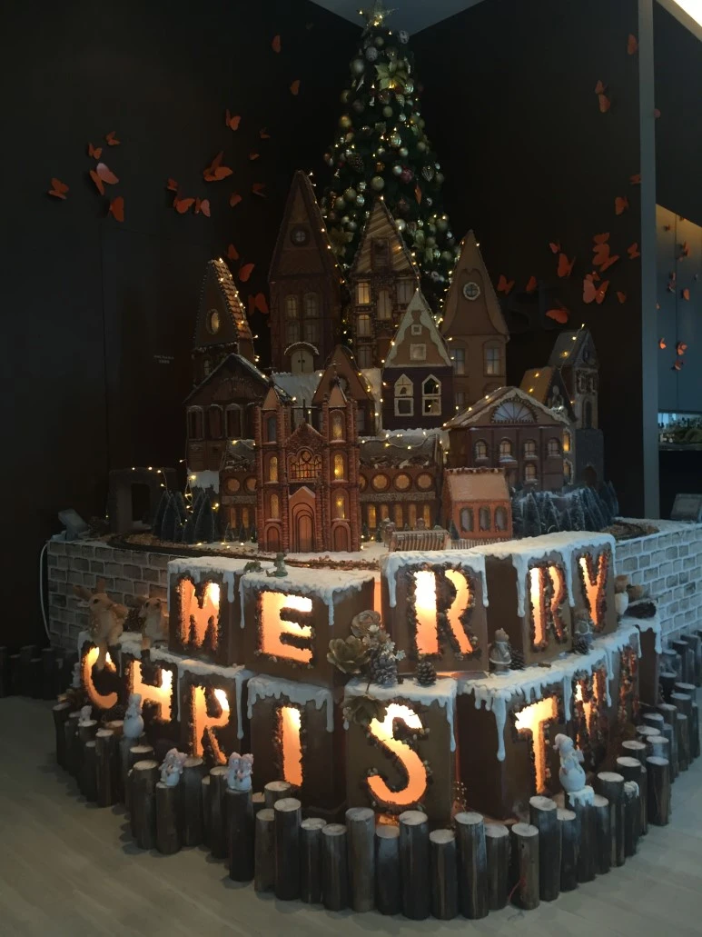 P20151225_110044112_4CCE590F-6EA2-4D76-9E06-8610F8C5BF94.JPG?type=w773