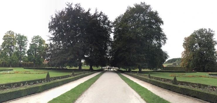 attachImage_3404313852.jpeg?type=w773