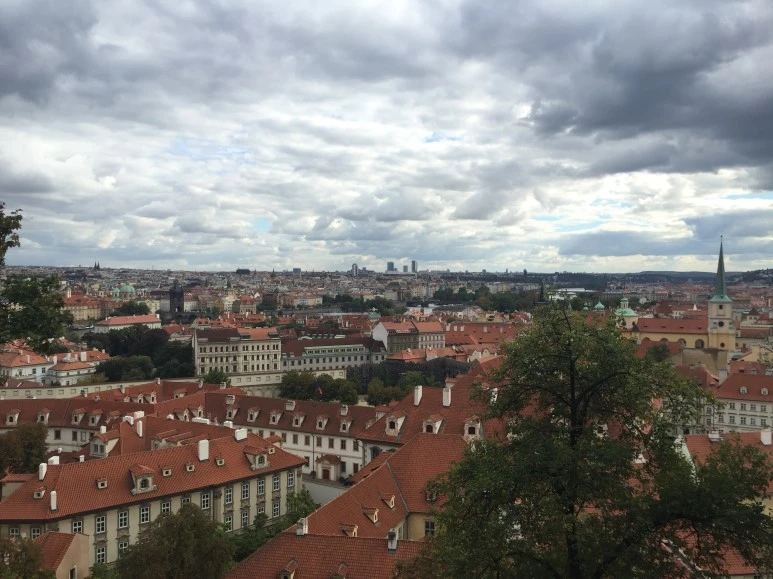 attachImage_3260093783.jpeg?type=w773